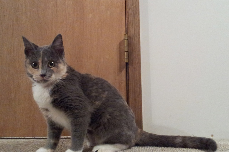 20121125.jpg